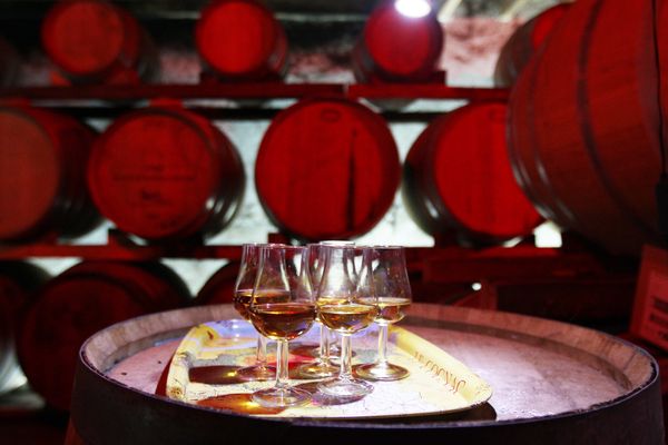 Les ventes de Cognac ont fortement progressé cette année.