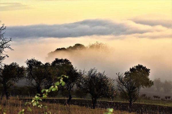 brouillard d'automne