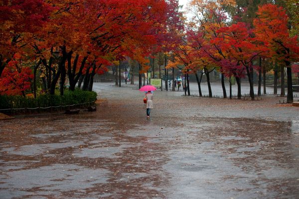 L'automne dans sa splendeur