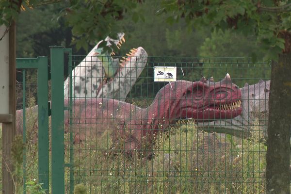 Drôle de bestiaire abandonné en bord de Saône...