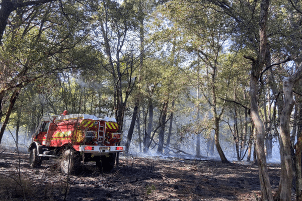 Le massif de la Double est particulièrement touché par les incendies.