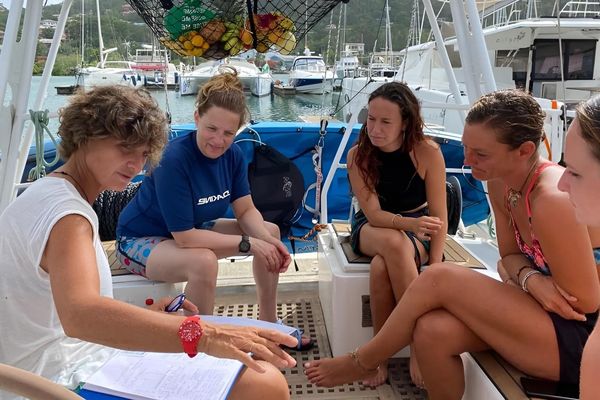 Magali à la rencontre des soignants insulaires qui se sentent parfois très isolés