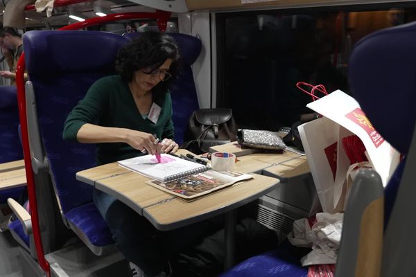 Des dessinateurs de presse dans un train Montpellier Toulouse pour défendre la liberté d'expression