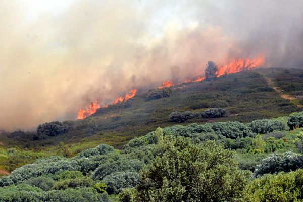 L'Occitanie voit durant l'été 2022, les incendies se multiplier en raison de la sécheresse.