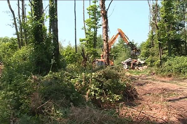 Les chantiers de déblaiement se sont poursuivis à Notre-Dame-des-Landes