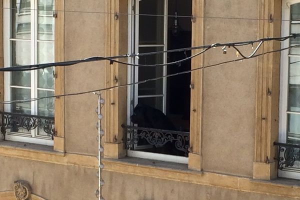 Un chien au balcon rue Serpenoise à Metz. A la recherche d'un peu d'air.