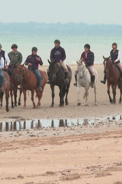 L'équithérapie pour soigner les maux des vétérans des conflits modernes. La Fondation américaine, Equine Immersion, vient en aide à ces anciens soldats victimes de syndromes post-traumatiques. Plusieurs d'entre eux ont pu se balader à cheval sur la mythique plage d'Utah Beach (Manche).