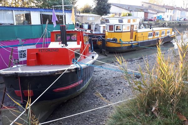 A Gardouch les péniches et bateaux posés sur le fond du canal sont solidement amarrés.