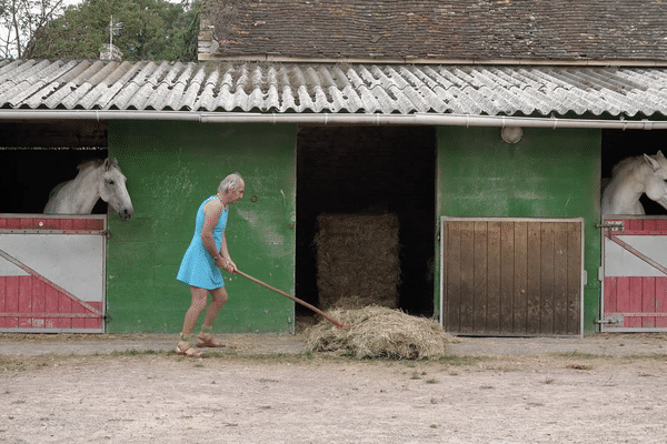 Une coproduction Ladybirds films, POM TV et France Télévisions