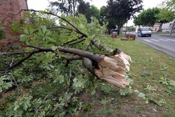 Gare aux branches d'arbres et autres objets situés sur les toitures. Le vent pourrait souffler à plus de 90 km/h dans la nuit de lundi à mardi dans la Loire, le Rhône et l'Ain