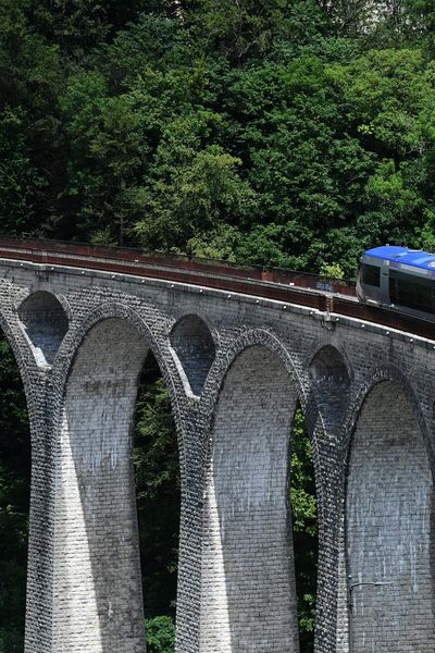 La ligne des hirondelles dans le Jura, et le viaduc de Morez.