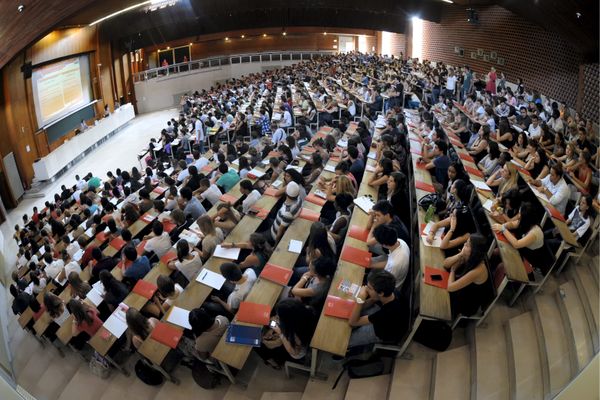 Des propos homophobes ont été tenus en cours de licence de la faculté de santé à l'université Toulouse 3 - Paul Sabatier. Une enquête interne ouverte.