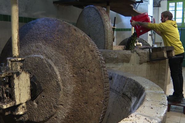 Visite du dernier moulin à huile encore en activité à Nice.