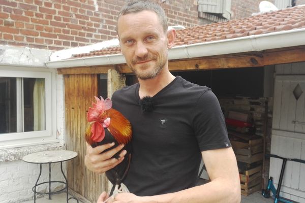 A Margny-lès-Compiègne, le chant d'un coq sème la discorde entre deux voisins.