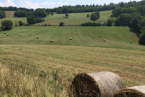 La sécheresse s'installe en Occitanie, notamment le long de l'Ariège. Dans le département, certains agriculteurs souffrent déjà du phénomène.