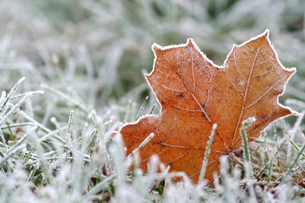 Des flocons de neige pourraient tomber au sud de la Loire ce jeudi 21 novembre 2024.