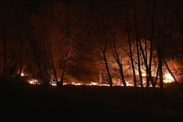 L'incendie a ravagé 3 hectares de végétation sur la rive de la Têt, dans les Pyrénées-Orientales