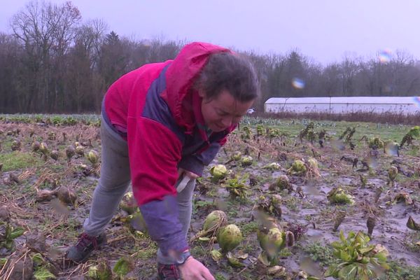 Joany Cassina, maraîchère en Haute-Savoie, accuse des dizaines de milliers d'euros de pertes après les inondations du 15 novembre 2023.