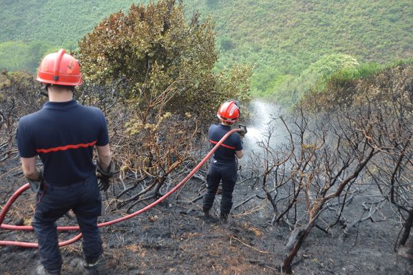 Incendie Vauville 19/07/22