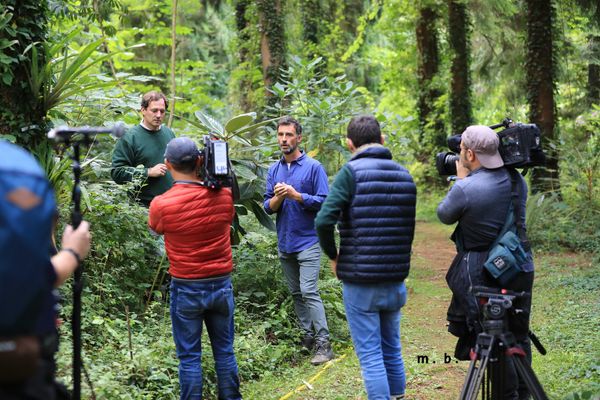 Toute l'équipe de Vachement Normand dans la forêt de Eu