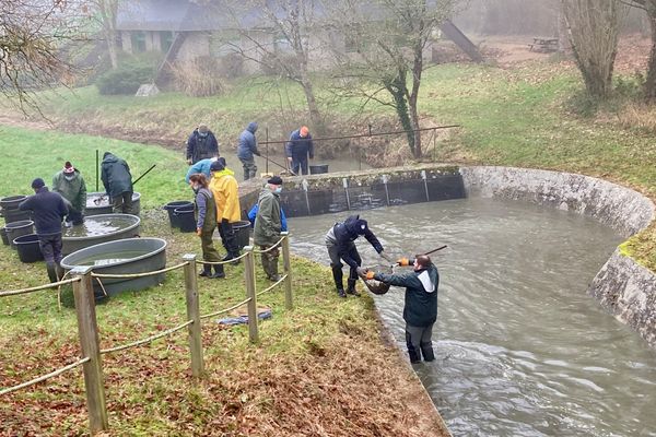 La société de pêche de Brissac dans le Maine-et-Loire retire deux tonnes de poissons de son étang pour repeupler les rivières du département