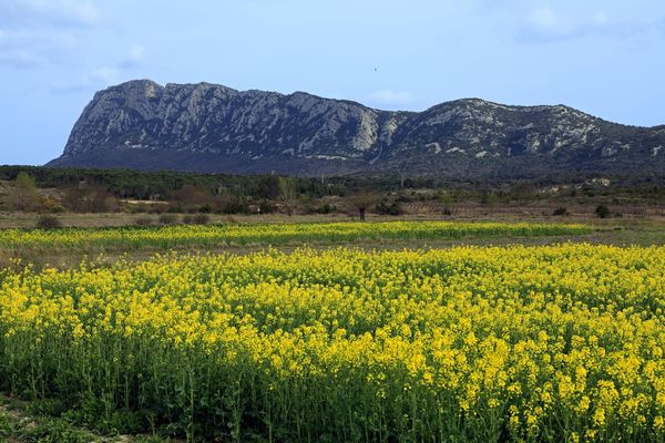 Le Pic Saint-Loup dans l'Hérault - archives.