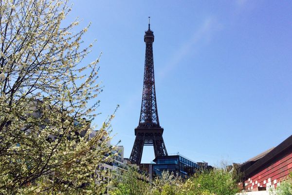 Un pique-nique géant sera organisé mercredi au pied de la tour Eiffel.