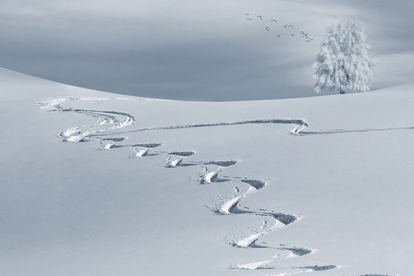 On a dit de la neige, certes, peut-être pas un parfait blanc manteau...