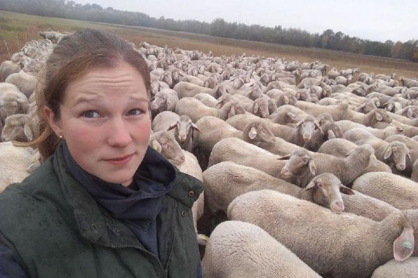 Virginie Ebner possède 350 brebis à Sélestat