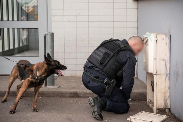 Illustration. Les gendarmes ont mis la main sur près de 700 grammes de drogue.