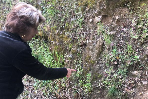 Françoise connait tous les coins où trouver l'herbe de l'Ascension