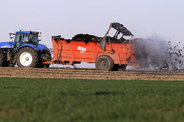 Un tracteur épand du fumier de volailles dans un champ de la Meuse (55), 16 janvier 2012.