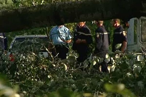 Un Nimois De 42 Ans Est Mort Ecrase Par Un Arbre A Saint Just D Ardeche