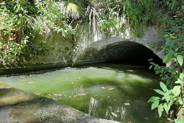 L'une des dernières barmes en fonctionnement est utilisée dans le Jardin Serre de la Madone, à Menton.