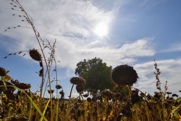 Meteo De Jeudi Fraicheur Au Petit Matin Et Chaleur L Apres Midi