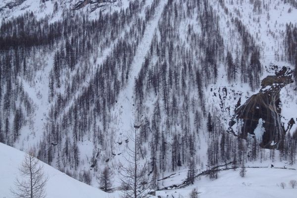 La coulée s'est produite entre les arbres, au centre de la photo. La rivière est en contrebas.