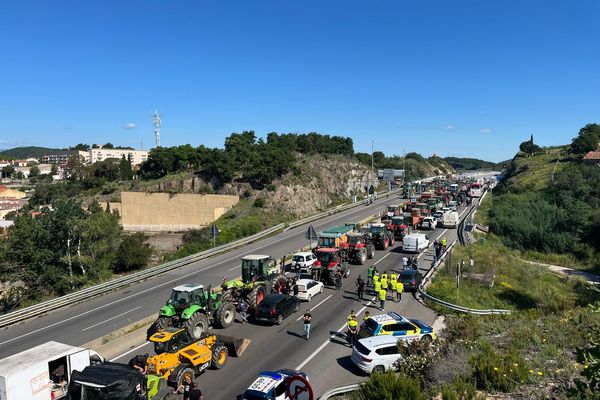 "Fermer toute la chaîne des Pyrénées, du Perthus jusqu'à Biriatou en coordination avec les agriculteurs espagnols". Entre le Perthus et la Jonquiere, une cinquantaine de tracteurs ont pris position.