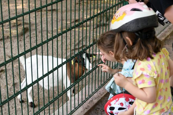 L'ancien petit zoo de l'Orangerie a fermé en 2022. Il a accueilli jusqu'à 100 animaux, domestiques ou exotiques.