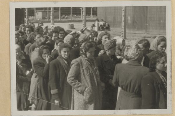 Photo extraite de l'Album d'Auschwitz, une série de 197 photographies prises par les Nazis entre mai et août 1944