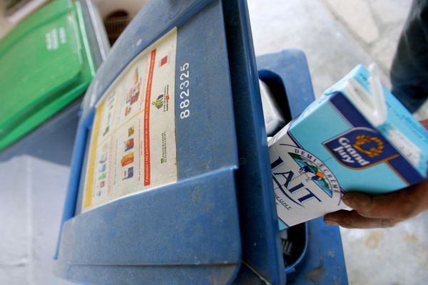 Personne jetant une brique de lait dans un bac de tri