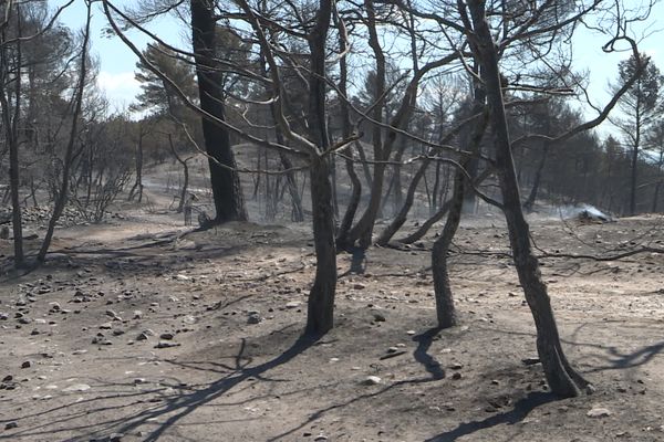 11 massifs forestiers sont fermés ce samedi 20 août.