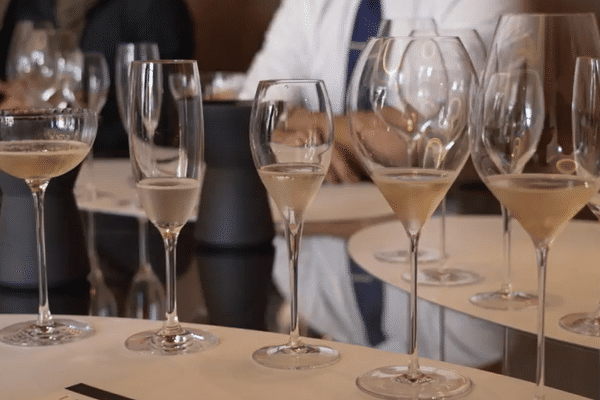 5 verres de formes différentes pour le champagne