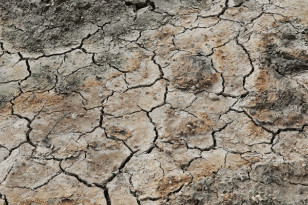 Les bassins de l’Escaut et de la Sambre sont placés en alerte sécheresse.