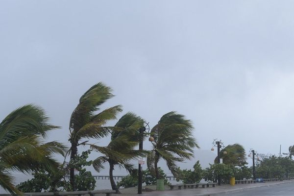 La violence du cyclone Irma inquiète la communauté antillaise de Toulouse.