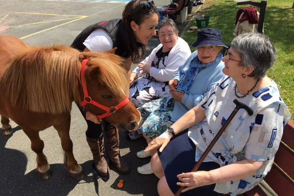 Marie Lavaud avait l'intuition que la venue de ces poneys apporterait beaucoup aux résidents