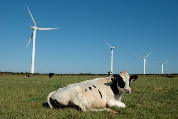 Une agricultrice de Loire-Atlantique porte plaine contre quatre ministres pour "nuisances" d'un parc éolien