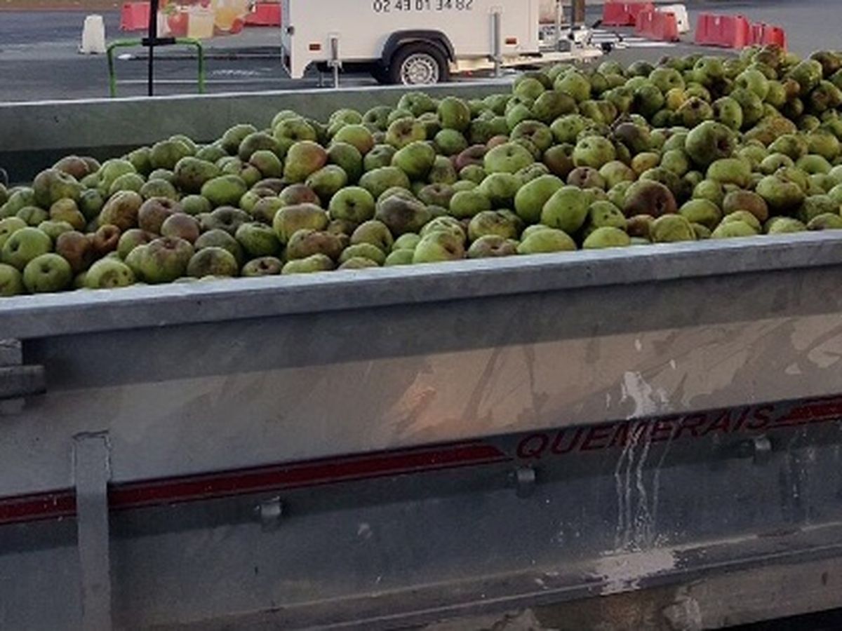 Le jus de pomme pourrait faire partie d'une saine alimentation