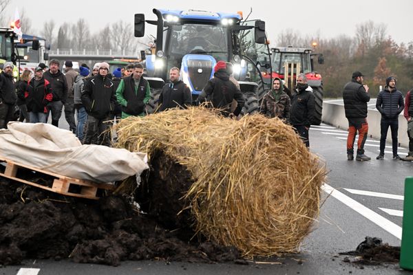 Les agriculteurs manifestent partout en France. La région Grand Est n'est pas épargnée par la colère qui s'est emparée des campagnes.