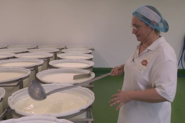 Dans son secteur d'activité, "La Fromagerie Gillot", implantée dans le bocage ornais, se distingue par la féminisation de ses effectifs.