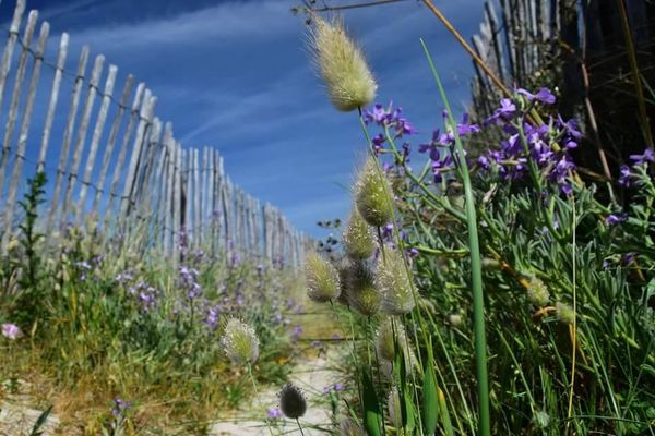 Sur le sentier de Lesconil